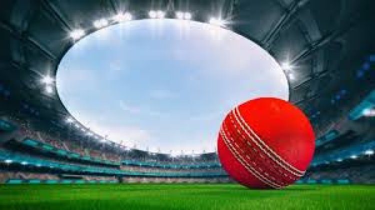 2024 లో భారతదేశంలో ఉత్తమ క్రికెట్ బెట్టింగ్ సైట్‌లు : Best Cricket Betting Sites in India 2024