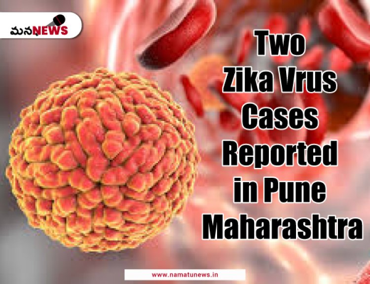 Two Zika Virus Cases Reported in Pune Maharashtra: మహారాష్ట్రలోని పూణేలో రెండు జికా వైరస్ కేసులు నమోదయ్యాయి.
