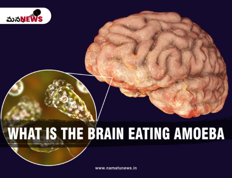 What is Brain Eating Amoeba? Three deaths in the last two months : గత రెండు నెలల్లో మూడు మరణాలు