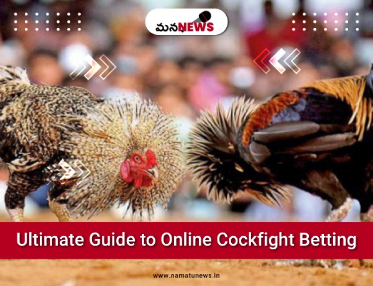 Ultimate Guide to Cockfight Betting: Best Platforms and Tips: కాక్‌ఫైట్ బెట్టింగ్‌కు అల్టిమేట్ గైడ్: ఉత్తమ ప్లాట్‌ఫారమ్‌లు మరియు చిట్కాలు