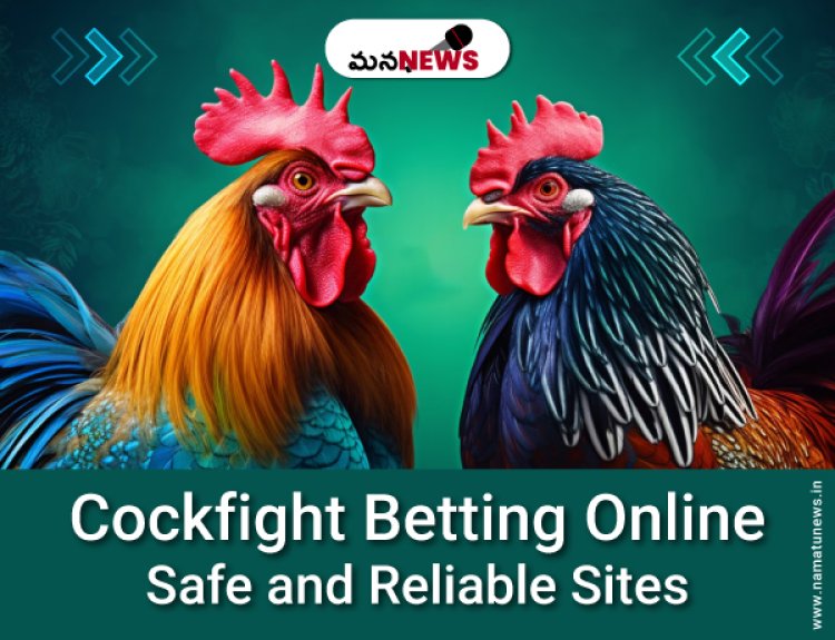 Cockfight Betting Online:  Safe and Reliable Sites to Try: కాక్‌ఫైట్ బెట్టింగ్ ఆన్‌లైన్: ప్రయత్నించడానికి సురక్షితమైన మరియు నమ్మదగిన సైట్‌లు