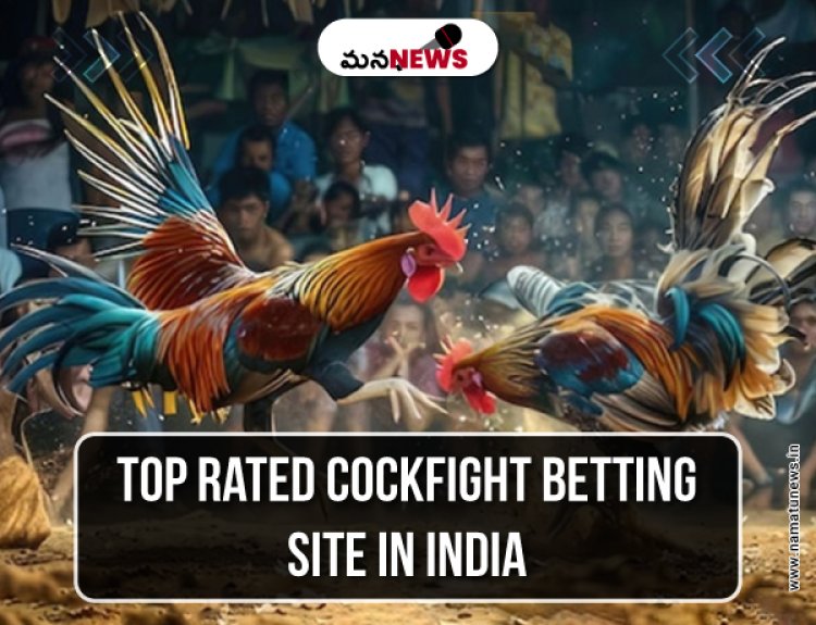 Top Rated Cockfight Betting Sites: What You Need to Know : అగ్రశ్రేణి కాక్‌ఫైట్ బెట్టింగ్ సైట్‌లు