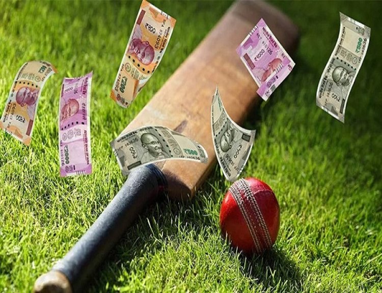 Why Ekhel is the Best Cricket Betting Website:ఎఖేల్ ఎందుకు ఉత్తమ క్రికెట్ బెట్టింగ్ వెబ్‌సైట్?